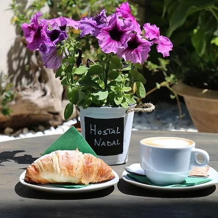 Nadal Bed & Breakfast 2*