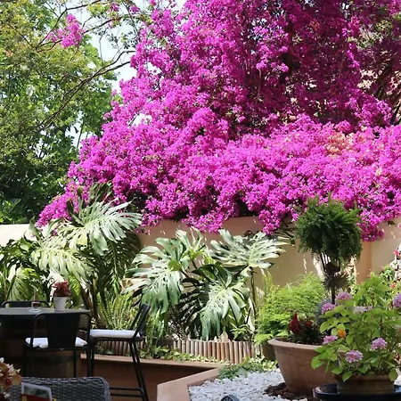 Bed & Breakfast Nadal 2*