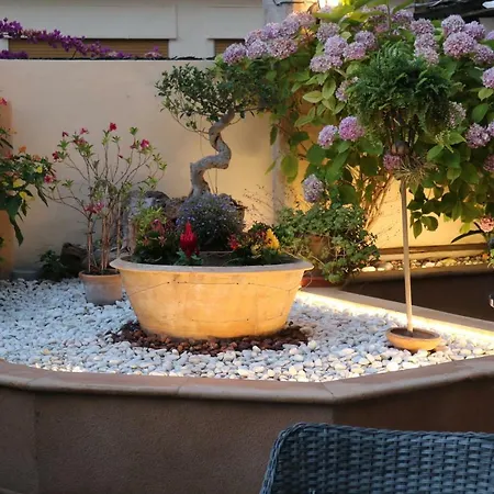 Nadal Bed & Breakfast Sóller